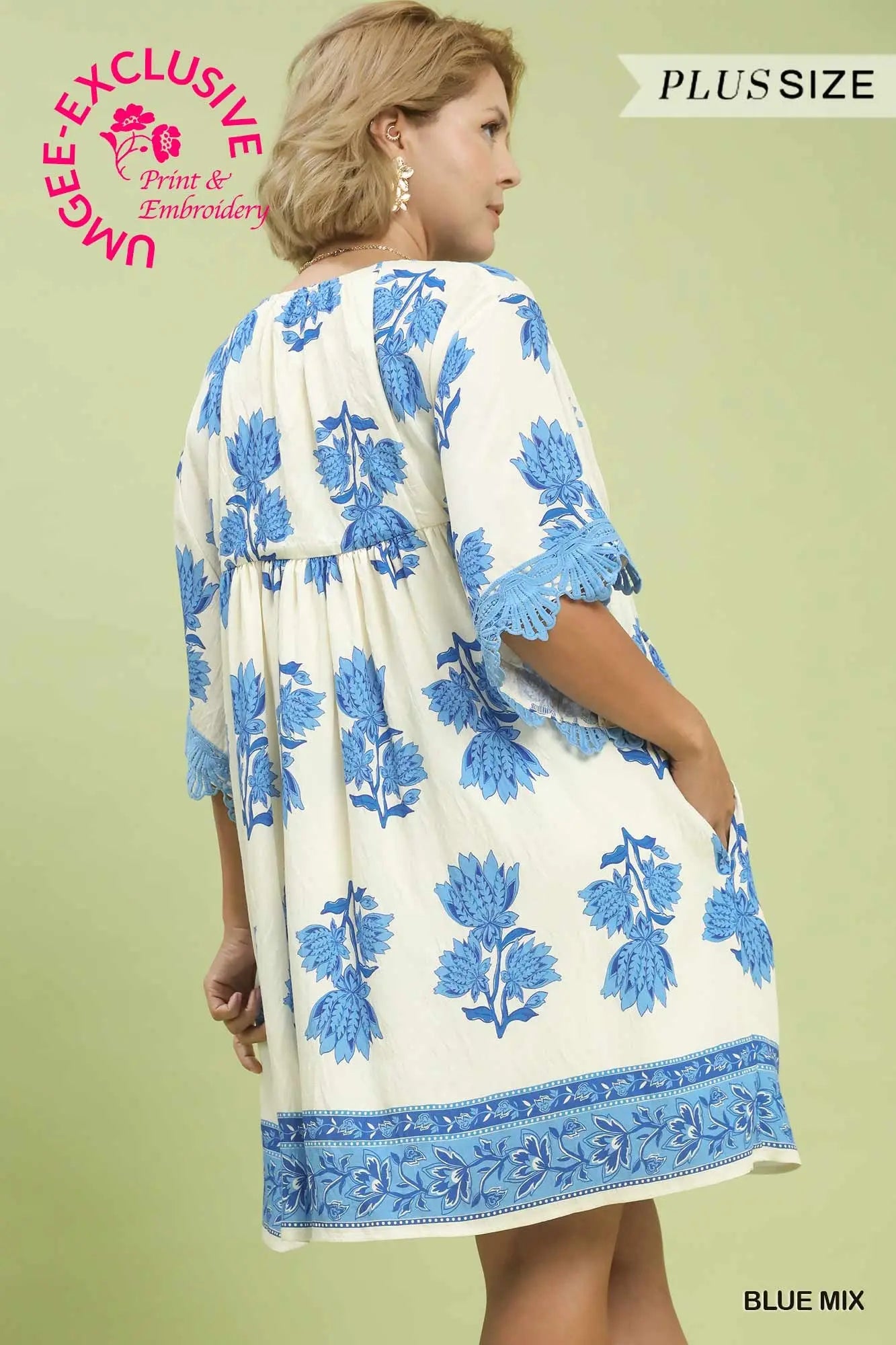 The Blue Haven Lace Appliqué Dress – Curvy