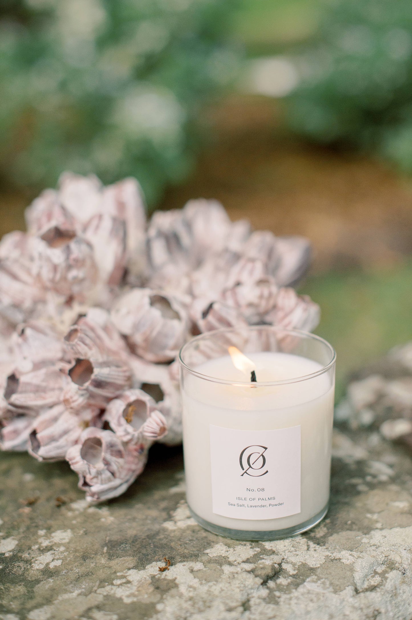 Charleston Candle Co. - No. 08 Isle of Palms Soy Candle: 9 oz.