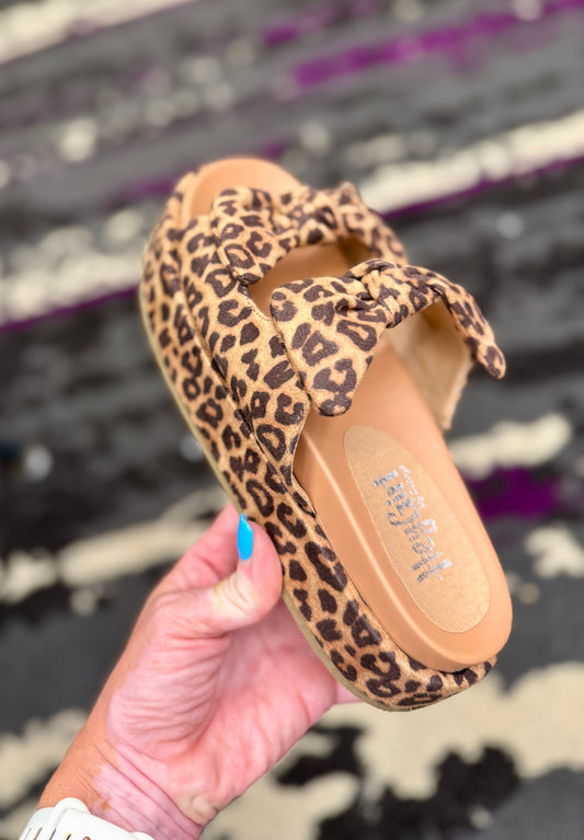 ***Preorder***Corkys Lil Bit Knotty