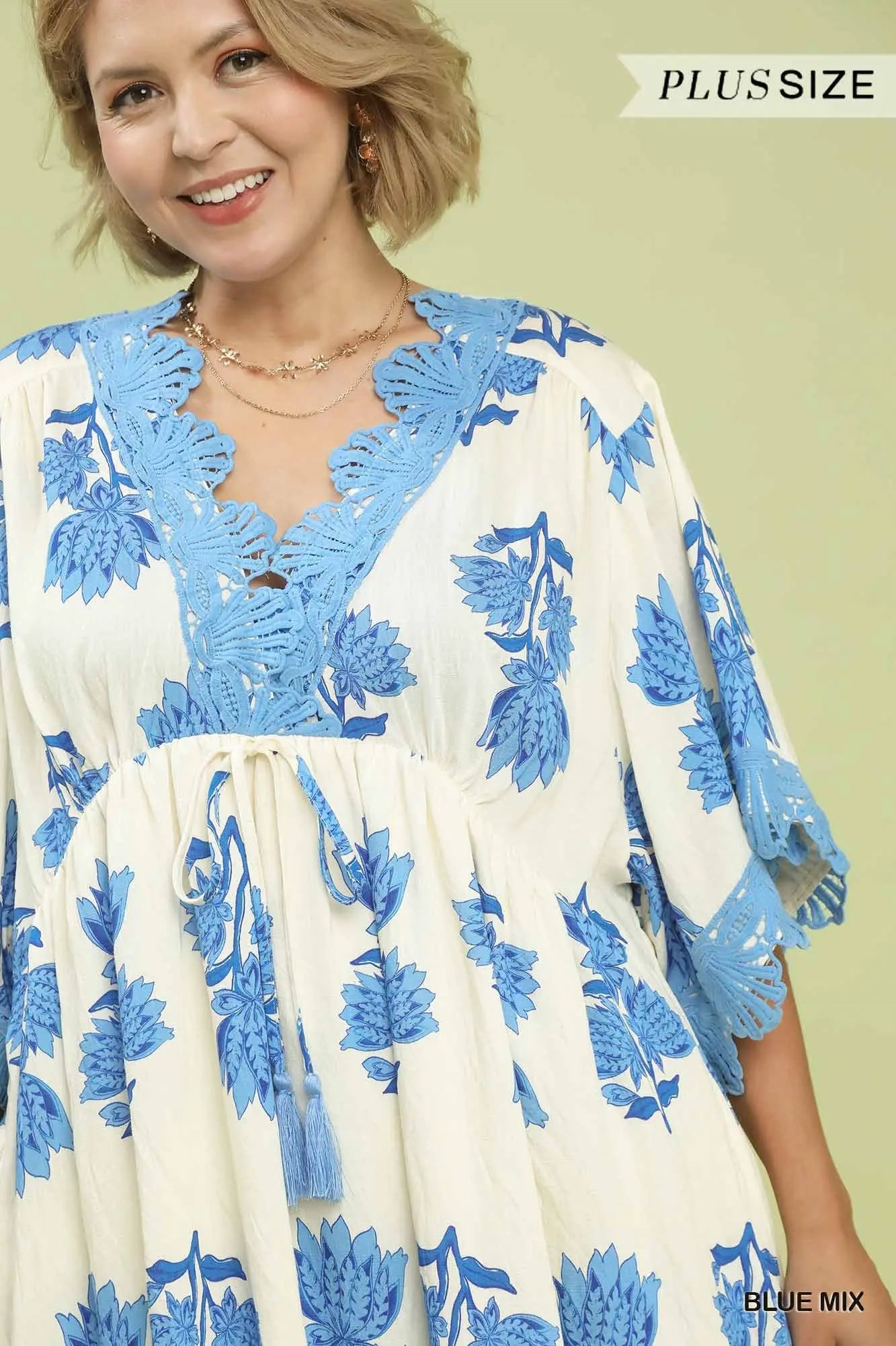 The Blue Haven Lace Appliqué Dress – Curvy