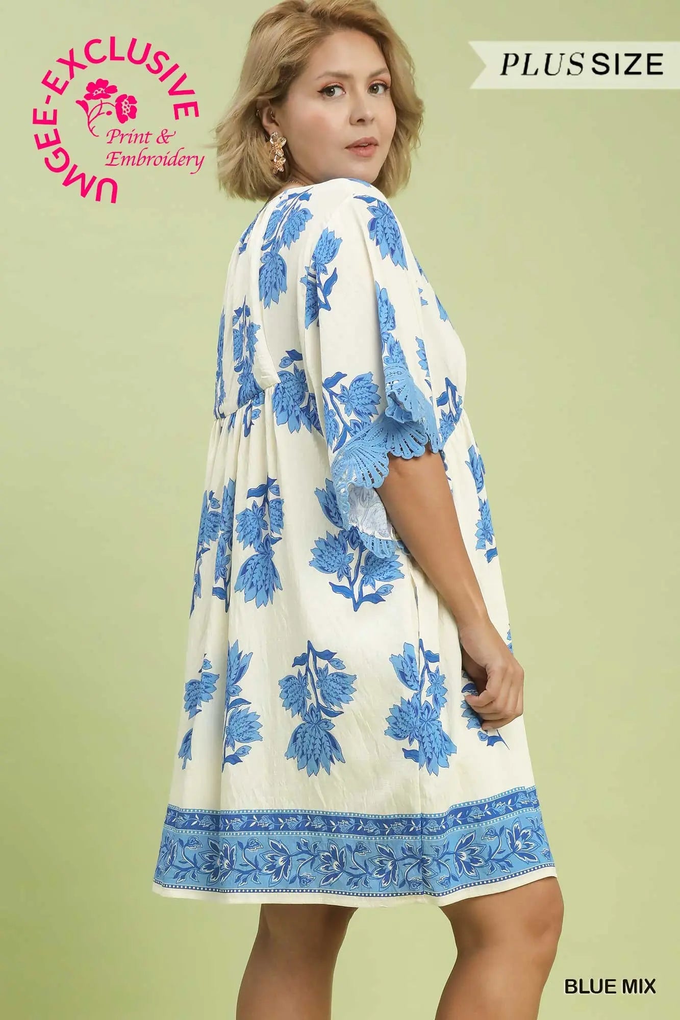 The Blue Haven Lace Appliqué Dress – Curvy