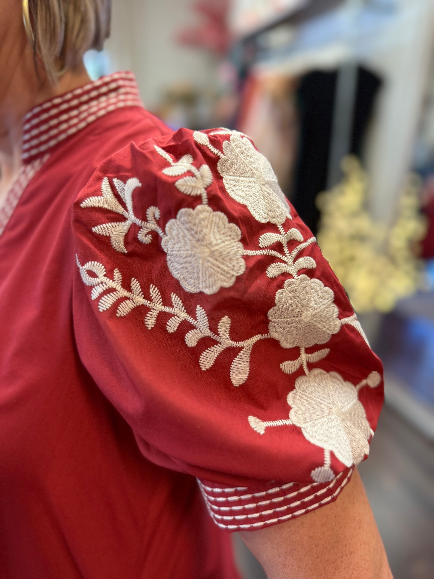 The Clara Embroidered Dress