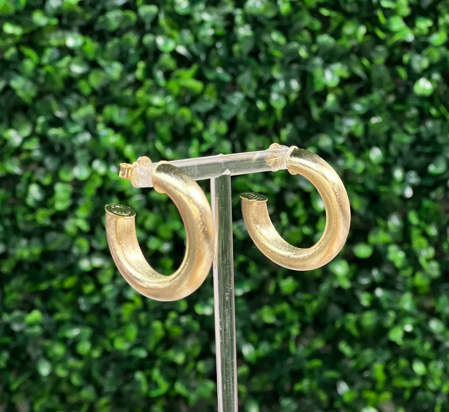 Sheila Fajl Small Chantal Hoops