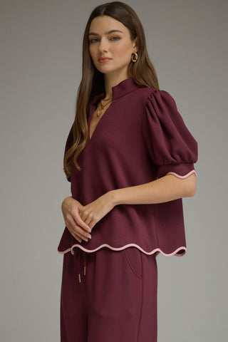 The Brighton Scallop Set