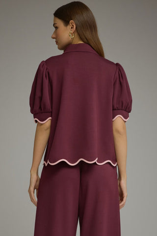 The Brighton Scallop Set