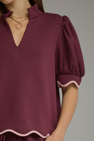 The Brighton Scallop Set